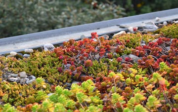 the cost of Aldbourne green roof installation
