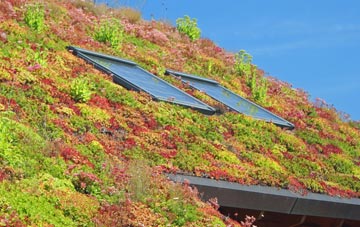 Aldbourne living roof systems