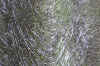 Aldbourne fibreglass roof work